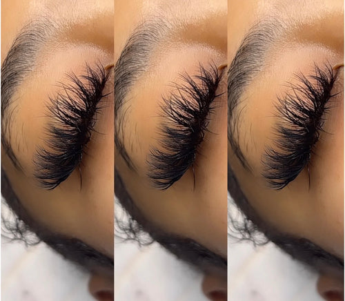 Lash Vendor. 😍